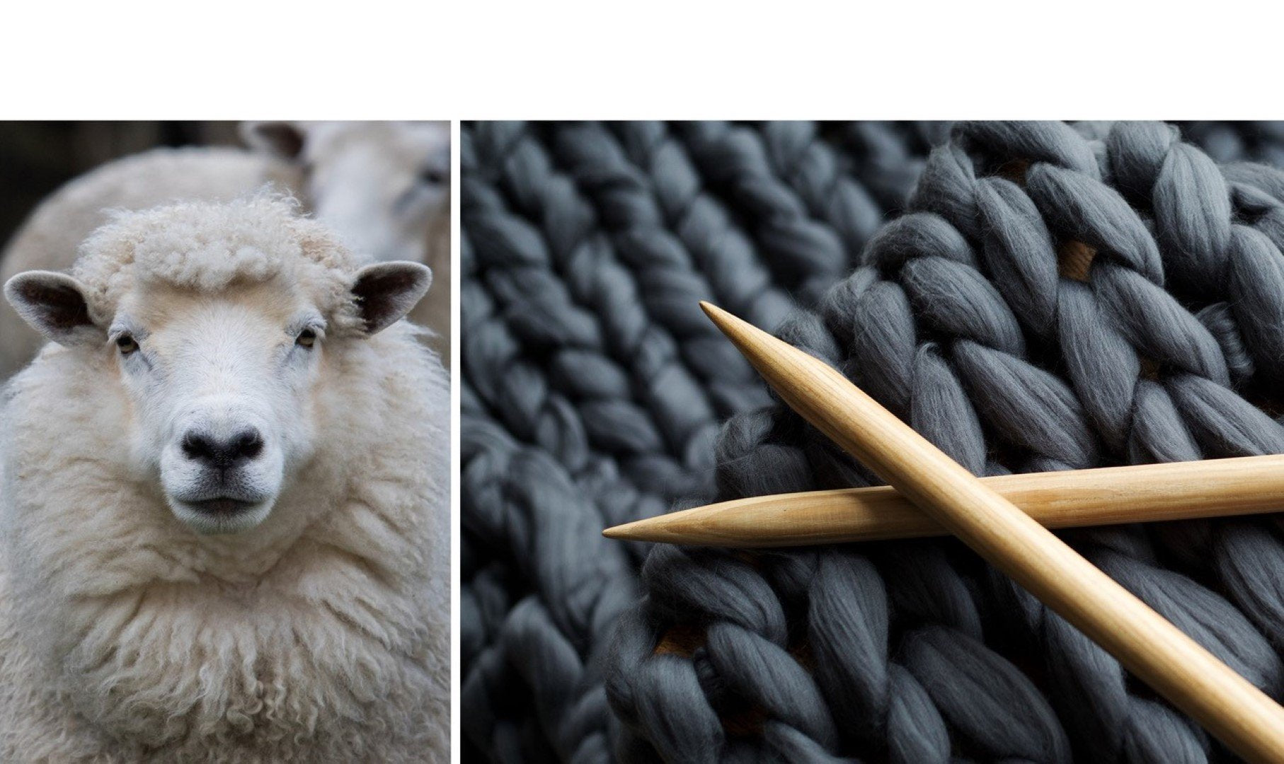 Knitwear Verses Cut & Sew