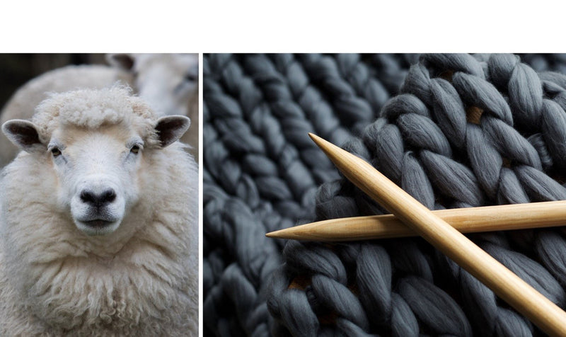 Knitwear Verses Cut & Sew