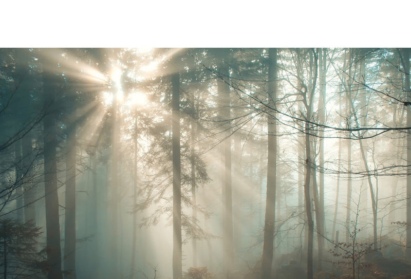 The Gentle Luxury of Cashmere Modal